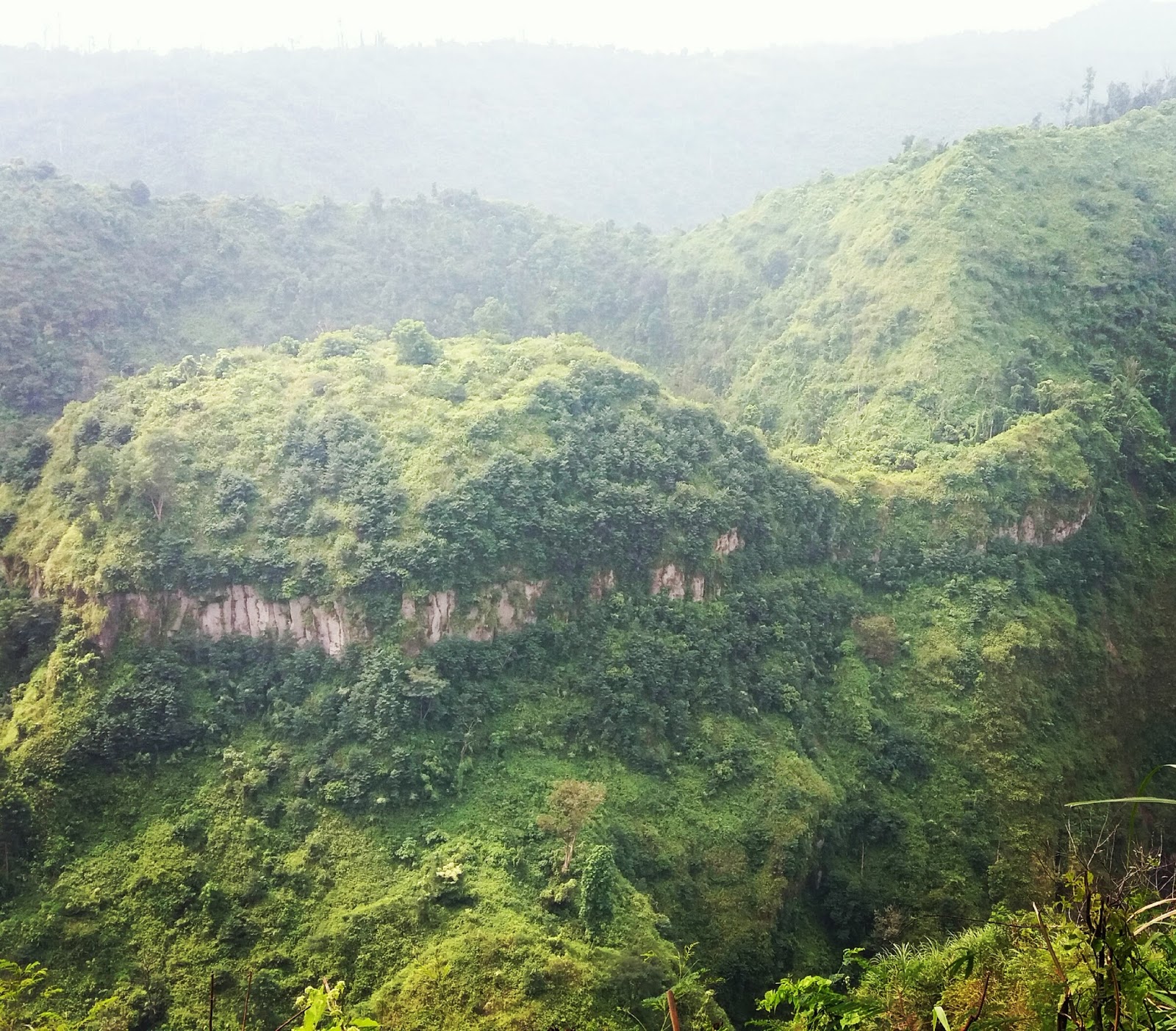 Detail Bukit Kura Kura Nomer 6