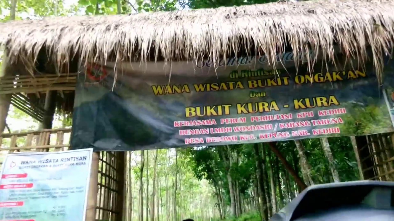 Detail Bukit Kura Kura Nomer 52