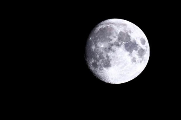 Detail Bulan Purnama Serigala Nomer 33