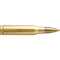 Detail Bullet Png Images Nomer 13