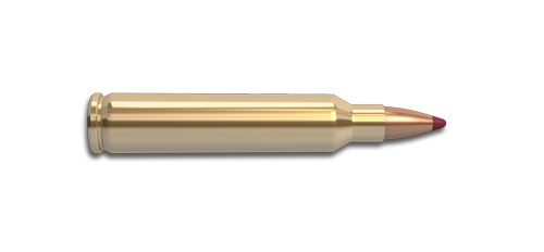Detail Bullet Transparent Background Nomer 45