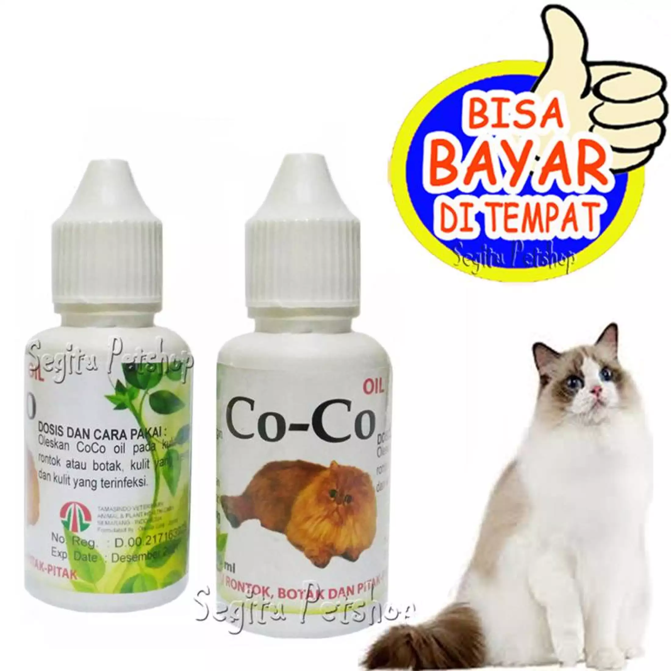 Detail Bulu Kucing Rontok Botak Nomer 40
