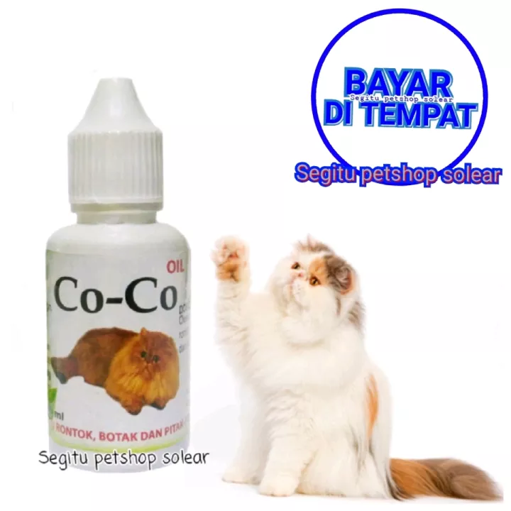 Detail Bulu Kucing Rontok Botak Nomer 45
