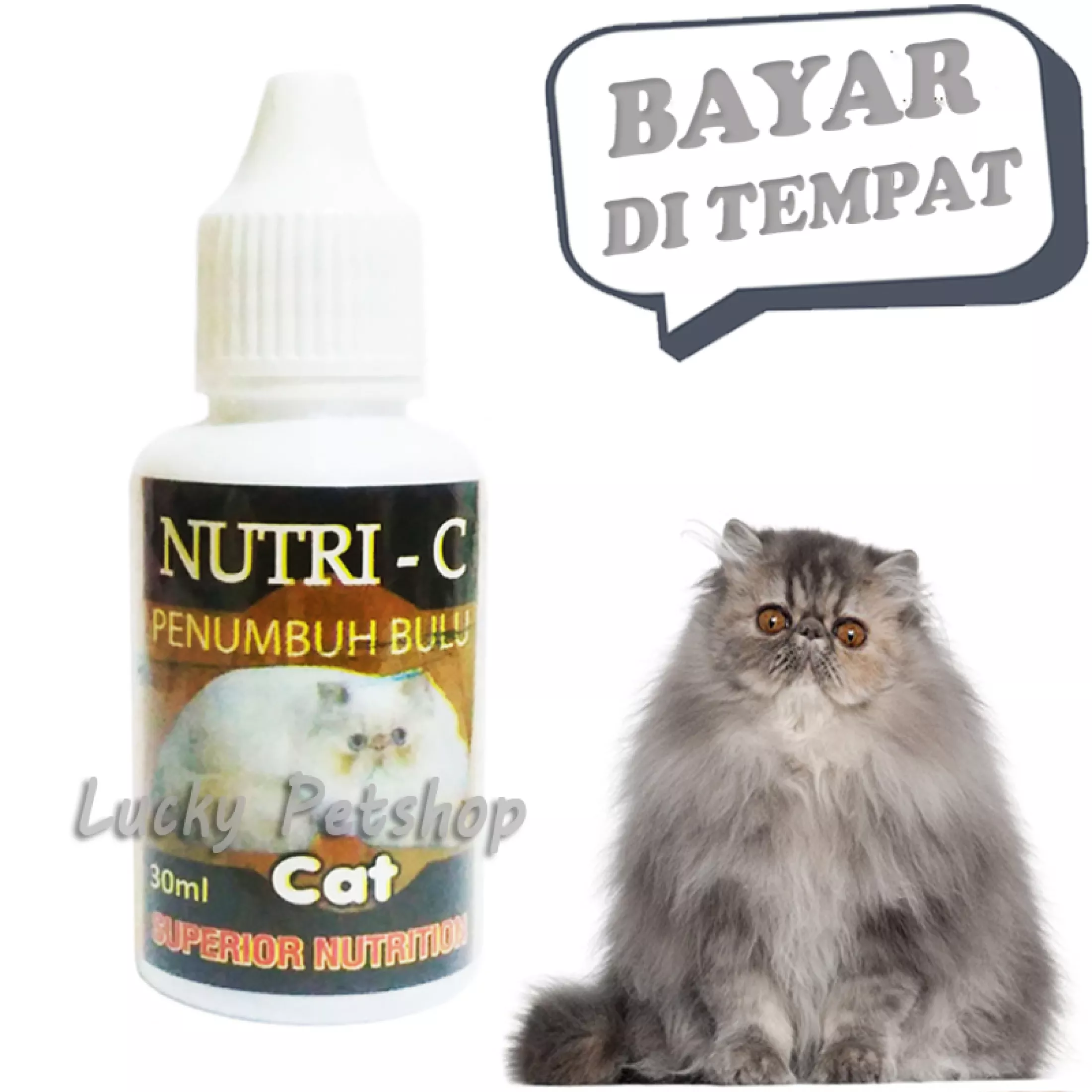 Detail Bulu Kucing Rontok Botak Nomer 46