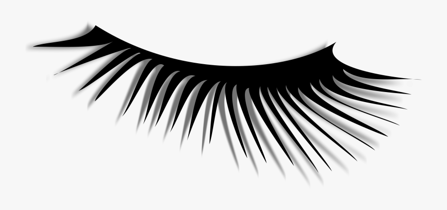 Bulu Mata Vector - KibrisPDR