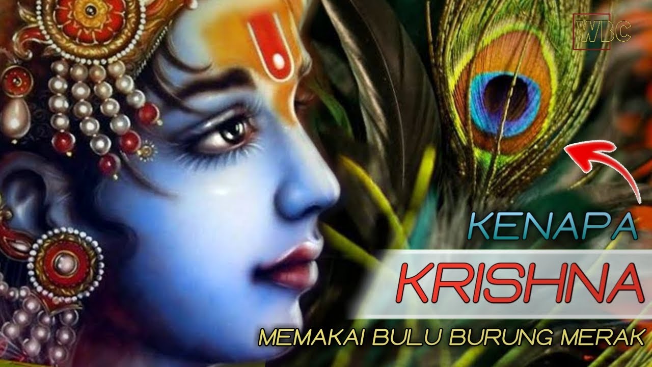 Detail Bulu Merak Krishna Nomer 13