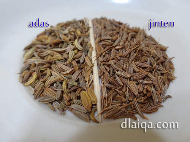 Detail Bumbu Adas Manis Nomer 4