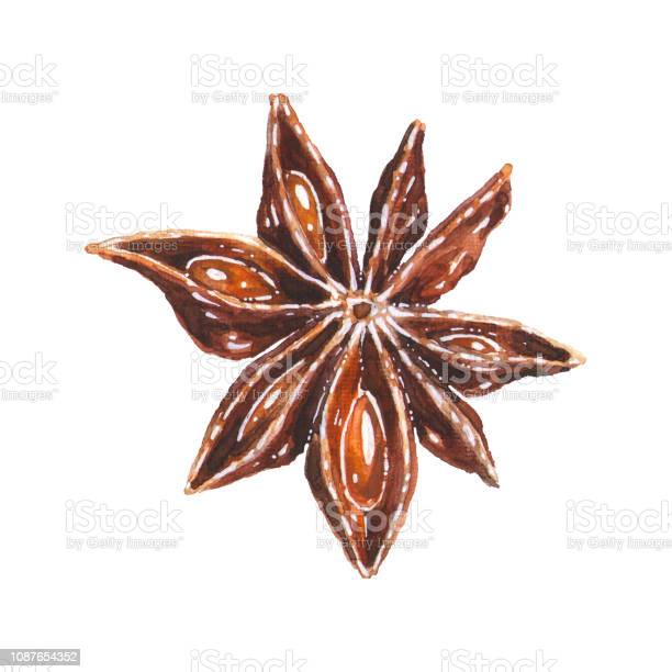 Detail Bumbu Adas Manis Nomer 50