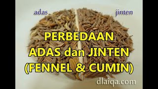 Detail Bumbu Dapur Adas Nomer 34