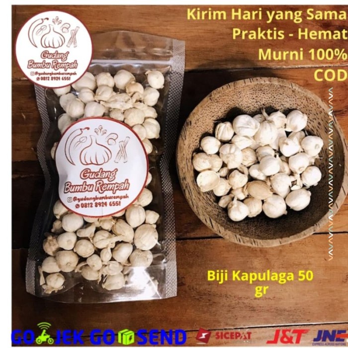 Detail Bumbu Dari Biji Nomer 34