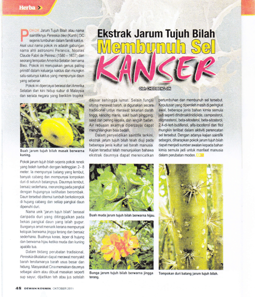 Detail Bunga 7 Duri Nomer 25