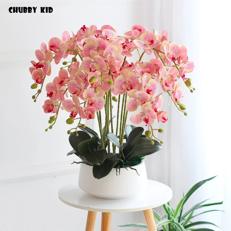 Detail Bunga Anggrek Pink Nomer 19