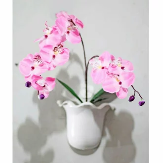 Detail Bunga Anggrek Pink Nomer 37