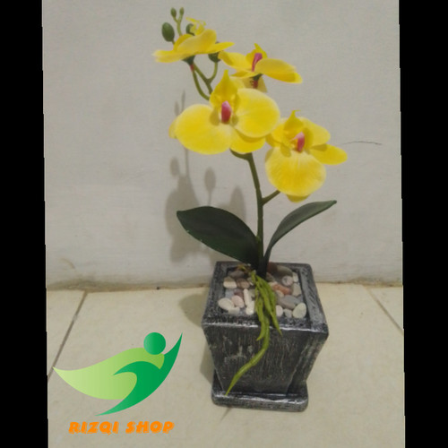 Detail Bunga Anggrek Warna Kuning Nomer 20