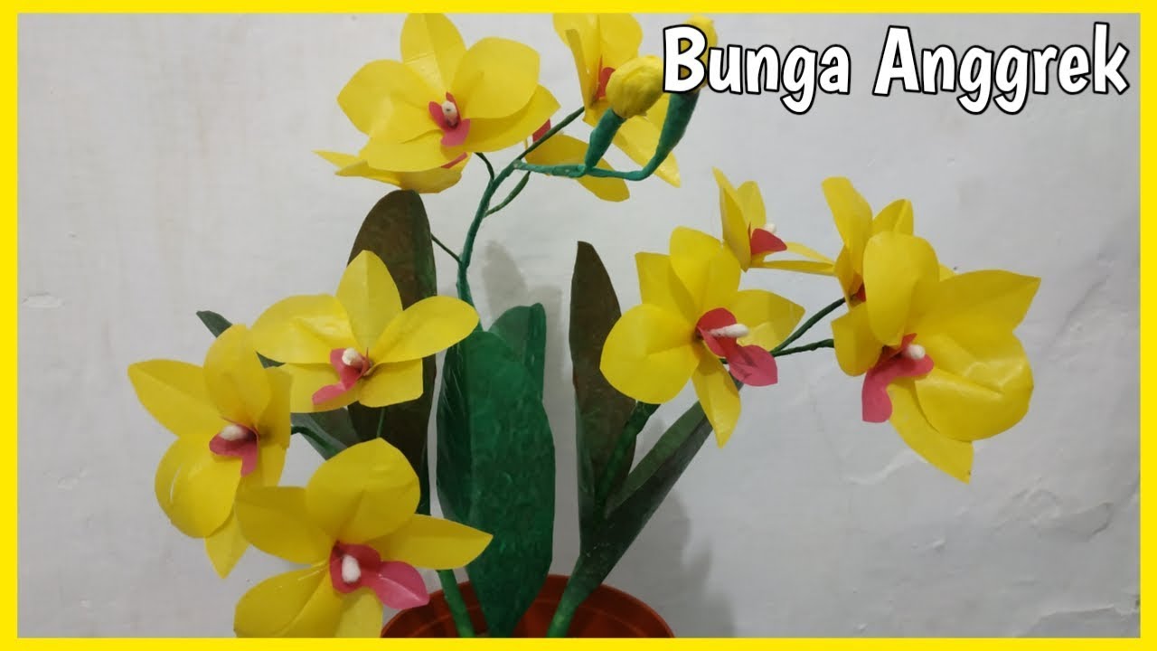 Detail Bunga Anggrek Warna Kuning Nomer 37