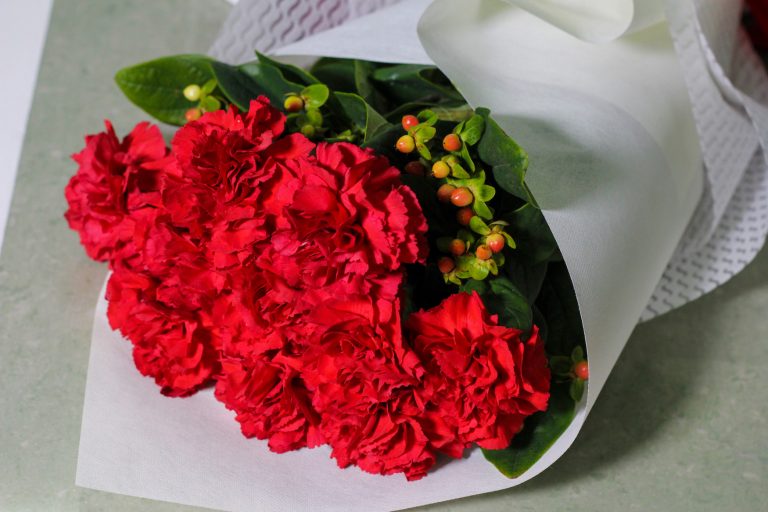 Bunga Anyelir Merah - KibrisPDR