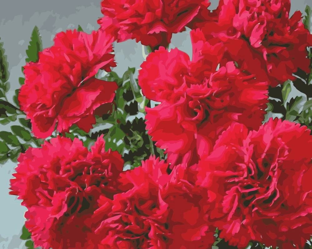 Detail Bunga Anyelir Merah Nomer 35