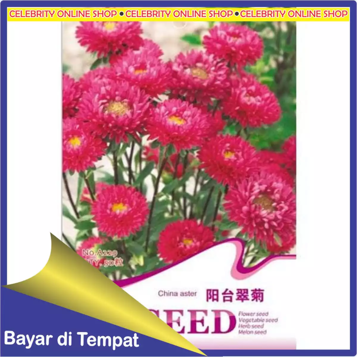 Detail Bunga Aster Merah Nomer 43