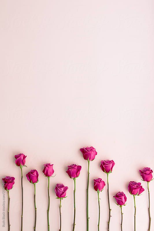 Detail Bunga Background Cantik Nomer 6