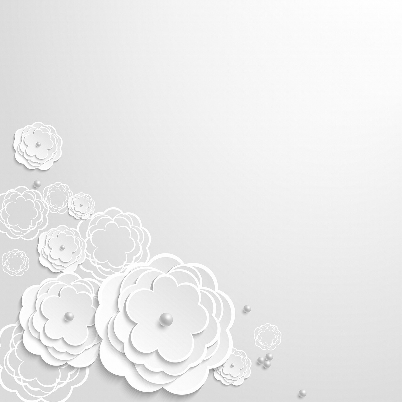 Detail Bunga Background Putih Nomer 2