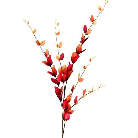 Detail Bunga Background Putih Nomer 4