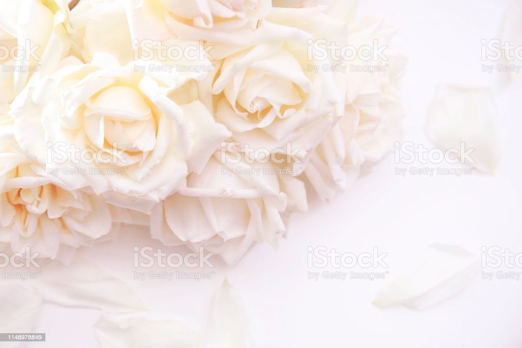 Detail Bunga Background Putih Nomer 39