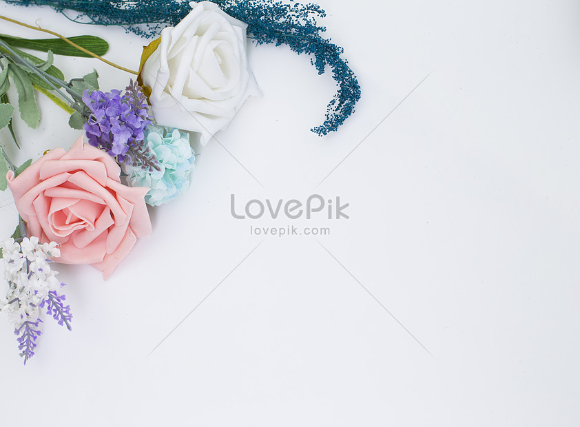 Detail Bunga Background Putih Nomer 44