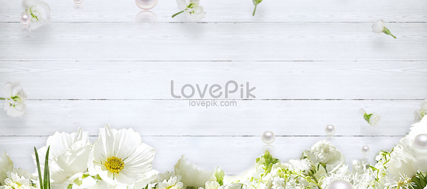 Detail Bunga Background Putih Nomer 49