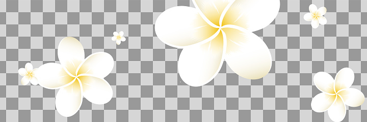 Detail Bunga Bali Vector Nomer 17