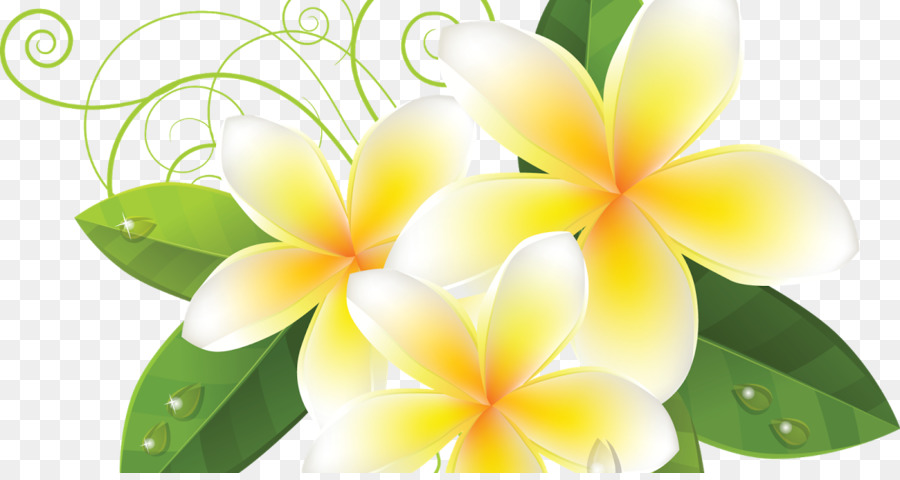 Detail Bunga Bali Vector Nomer 18