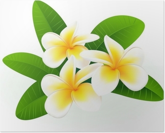 Detail Bunga Bali Vector Nomer 25