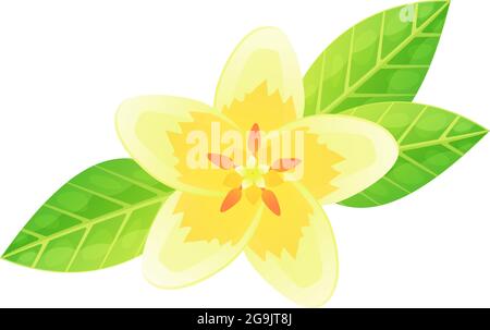 Detail Bunga Bali Vector Nomer 26