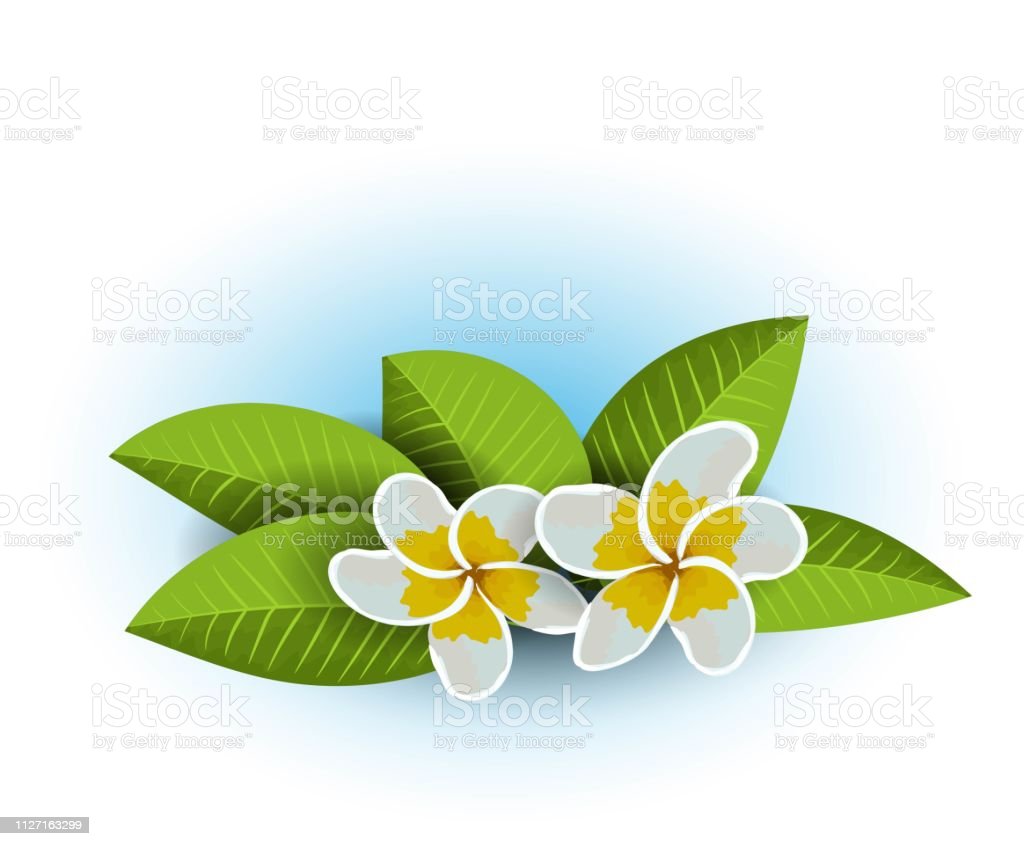 Detail Bunga Bali Vector Nomer 37