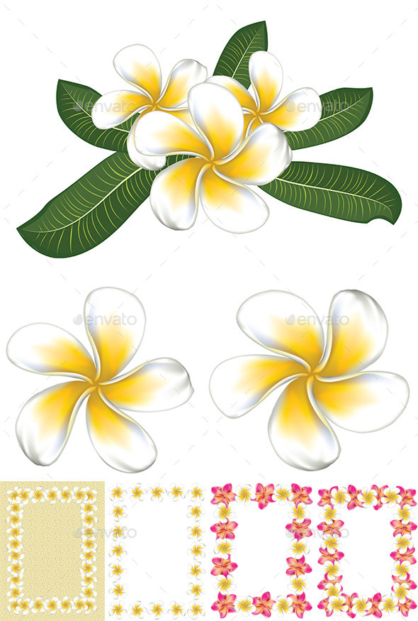 Detail Bunga Bali Vector Nomer 47