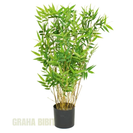 Detail Bunga Bambu Jepang Nomer 52