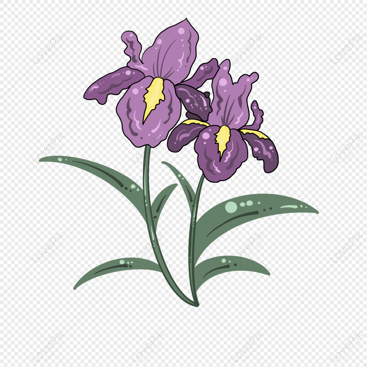 Detail Bunga Bunga Iris Nomer 14
