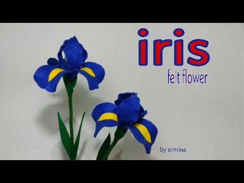 Detail Bunga Bunga Iris Nomer 21