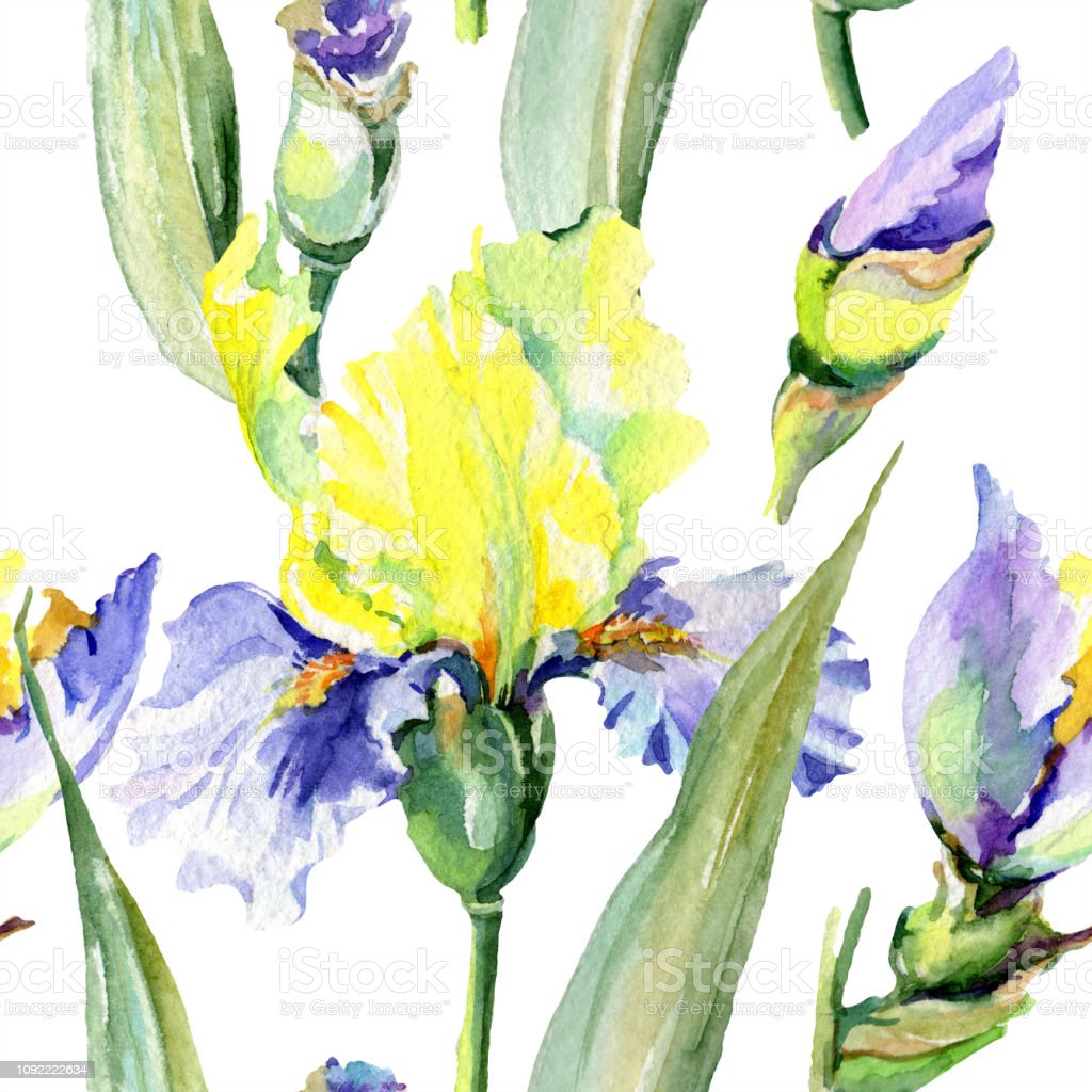 Detail Bunga Bunga Iris Nomer 33