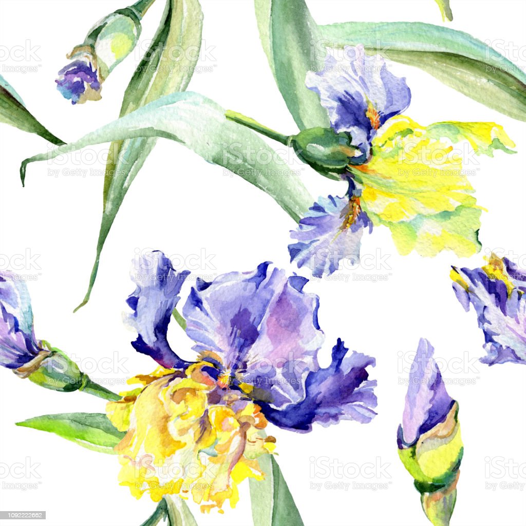 Detail Bunga Bunga Iris Nomer 46