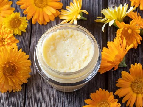 Detail Bunga Calendula Di Indonesia Nomer 15