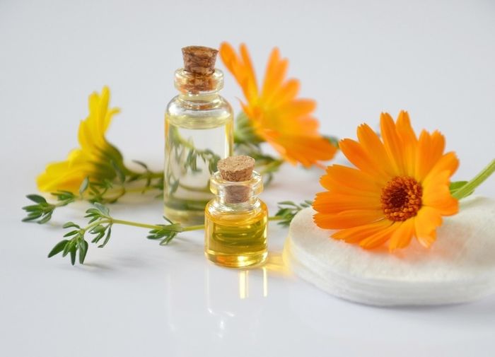 Detail Bunga Calendula Di Indonesia Nomer 53