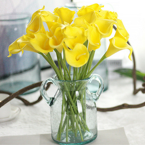 Detail Bunga Calla Lily Kuning Nomer 30