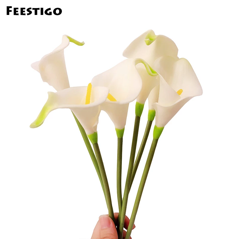 Detail Bunga Calla Lily Putih Nomer 55