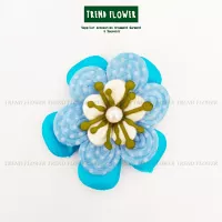 Detail Bunga Camelia Biru Nomer 29