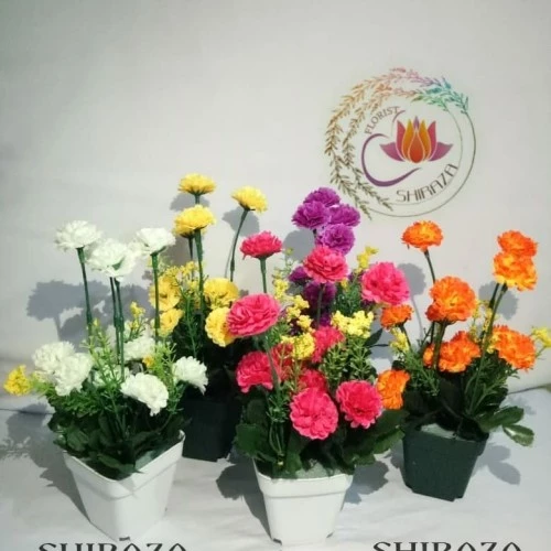 Detail Bunga Camelia Kuning Nomer 31