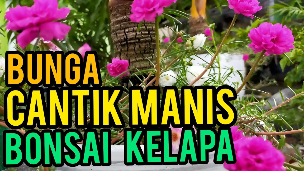 Detail Bunga Cantik Manis Nomer 27