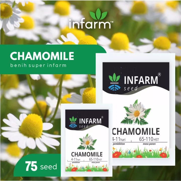 Detail Bunga Chamomile Di Indonesia Nomer 48