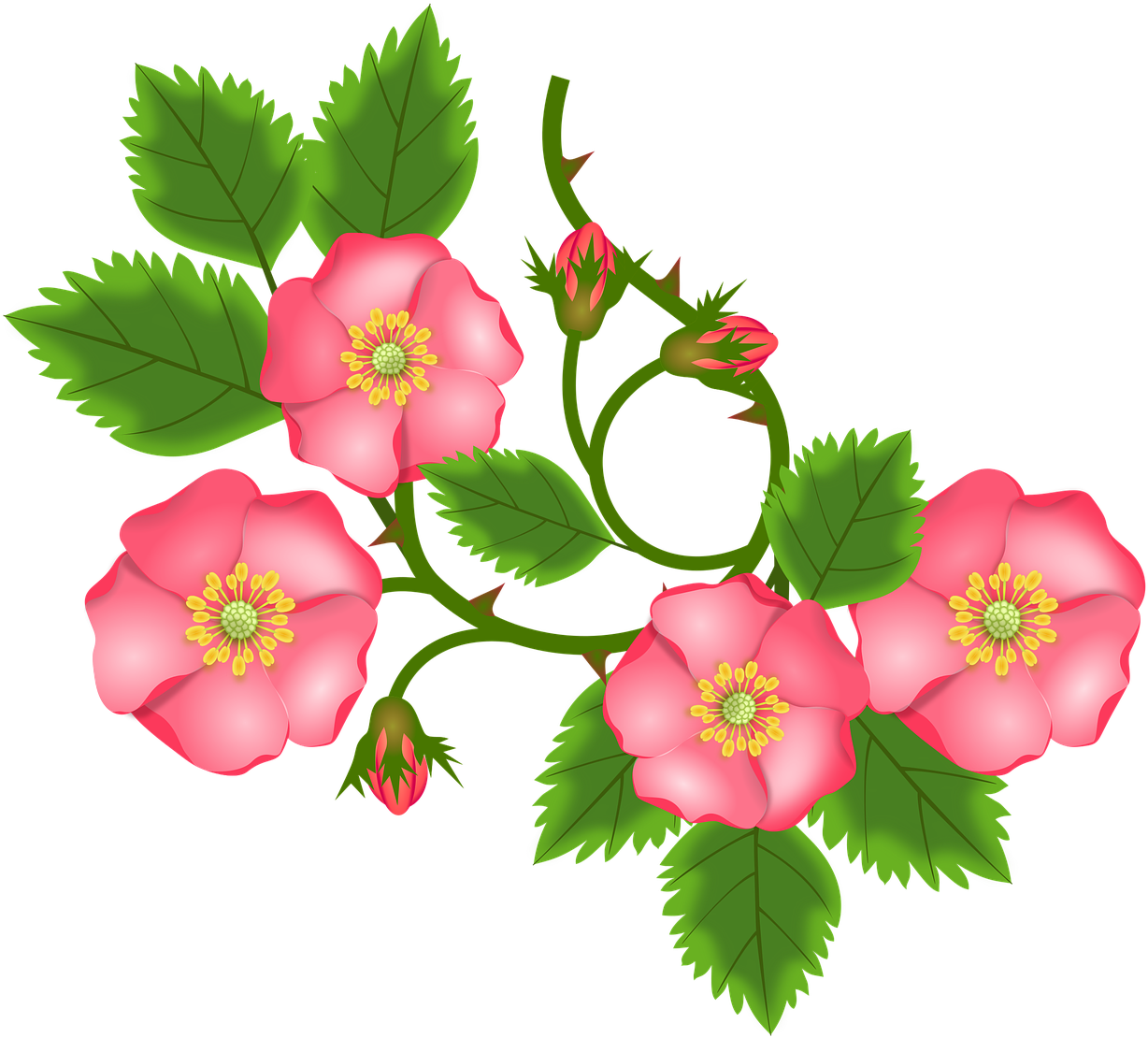 Detail Bunga Clipart Png Nomer 2