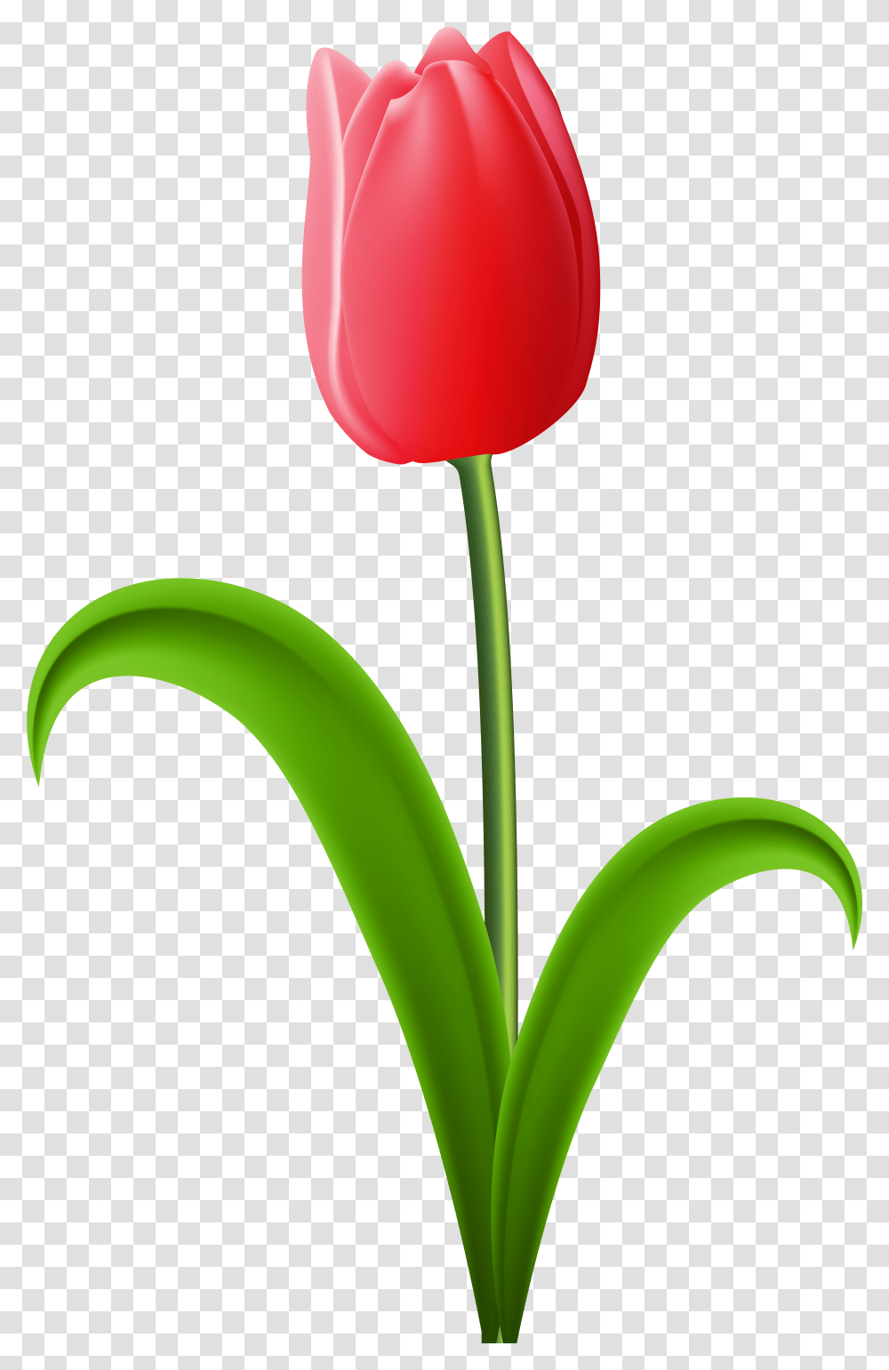 Detail Bunga Clipart Png Nomer 33