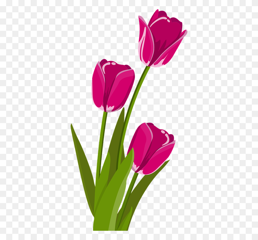 Detail Bunga Clipart Png Nomer 51